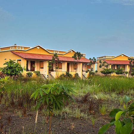 Blackbuck Safari Lodge Velavadar Bavliari Exteriér fotografie
