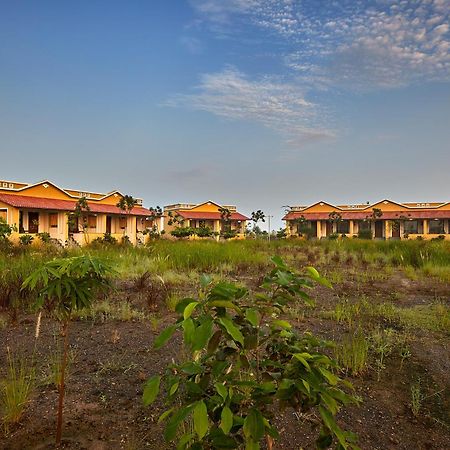 Blackbuck Safari Lodge Velavadar Bavliari Exteriér fotografie