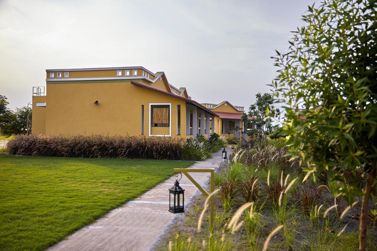 Blackbuck Safari Lodge Velavadar Bavliari Exteriér fotografie