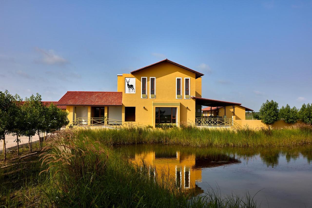 Blackbuck Safari Lodge Velavadar Bavliari Exteriér fotografie