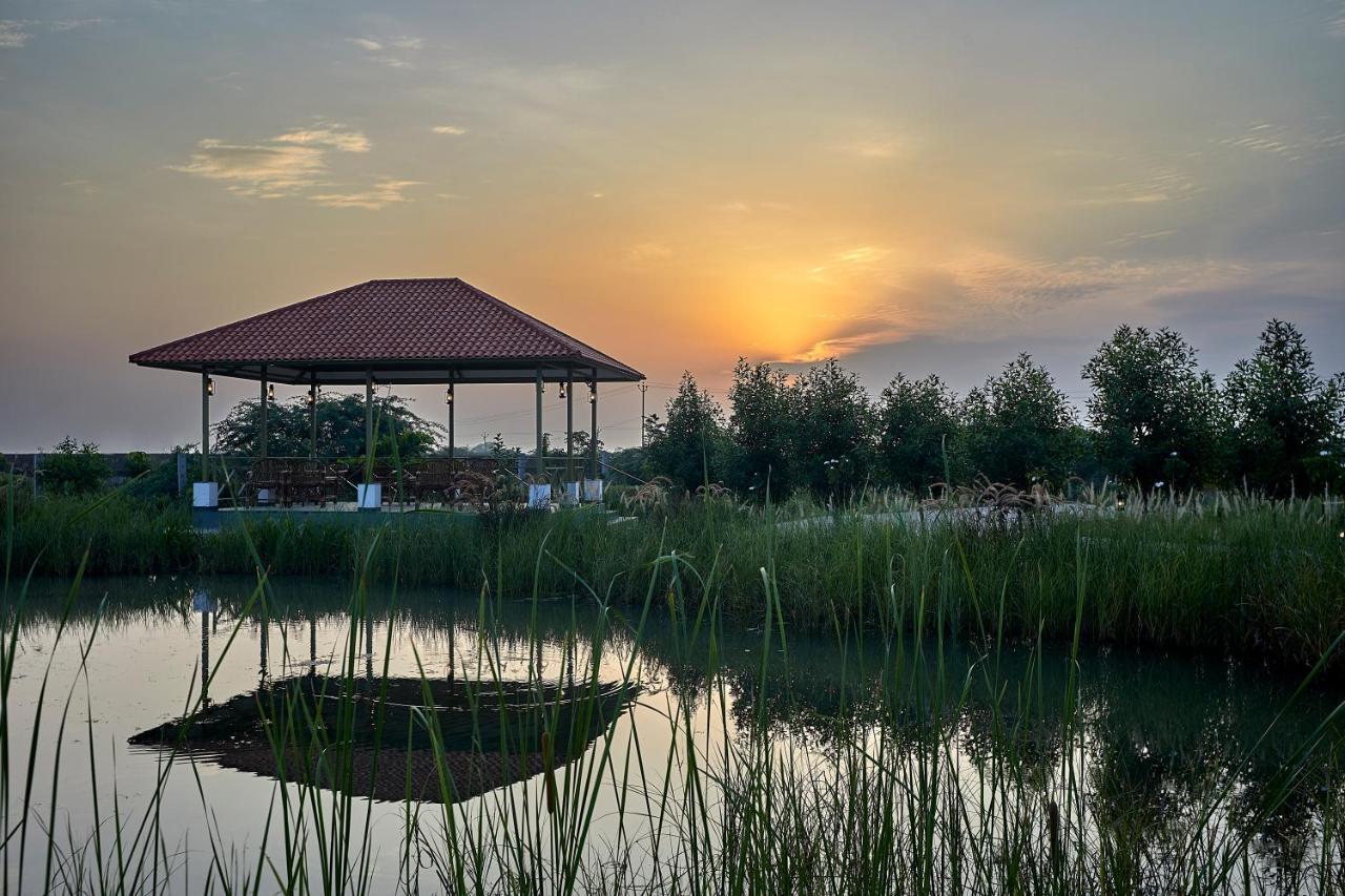 Blackbuck Safari Lodge Velavadar Bavliari Exteriér fotografie