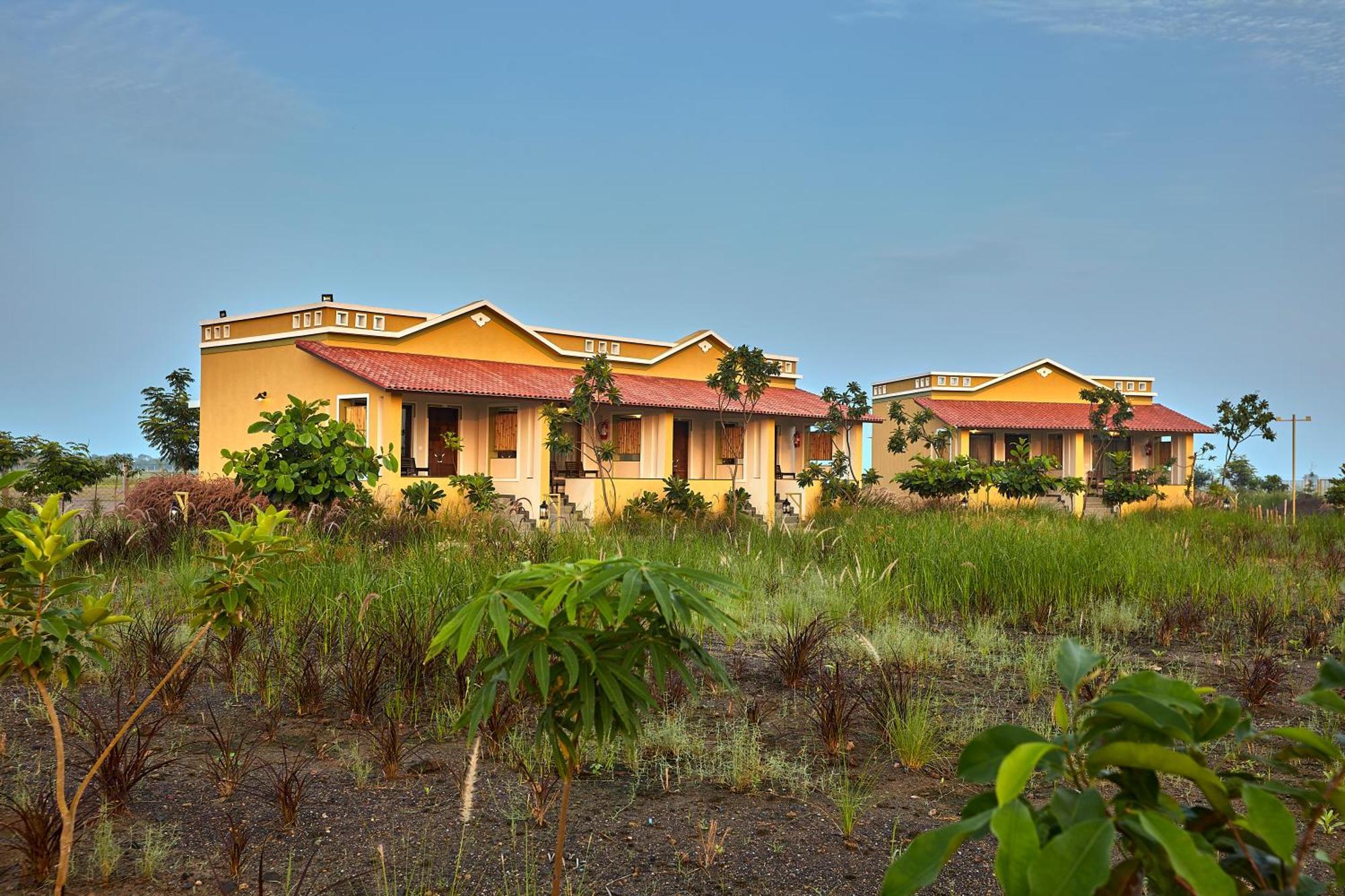 Blackbuck Safari Lodge Velavadar Bavliari Exteriér fotografie