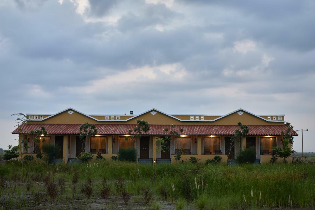 Blackbuck Safari Lodge Velavadar Bavliari Exteriér fotografie